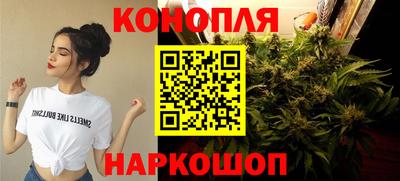 прущие крисы Кинель