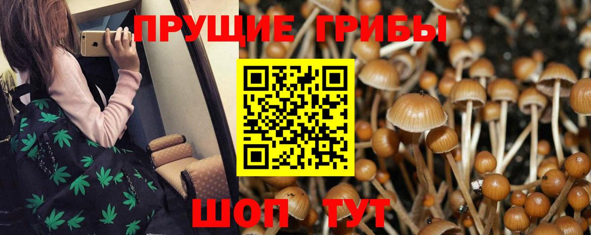 Коряжма  цена   Вход с VPN  Псилоцибиновые грибы Psilocybine cubensis 